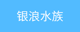 WG-5     5寸無齒鼓剎